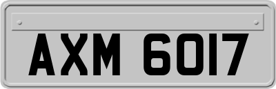 AXM6017