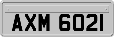 AXM6021