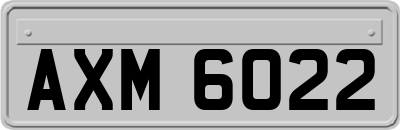 AXM6022