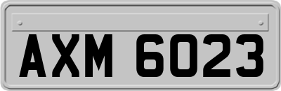 AXM6023