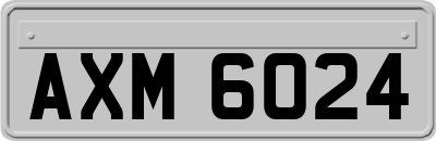 AXM6024
