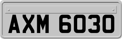 AXM6030
