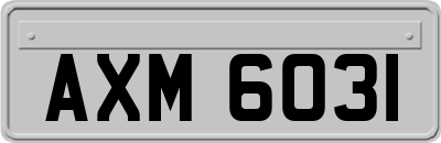 AXM6031