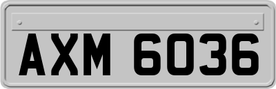 AXM6036