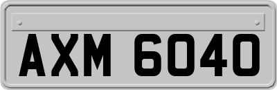 AXM6040