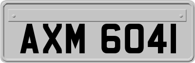 AXM6041