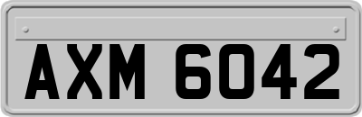 AXM6042