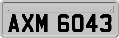 AXM6043