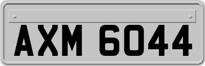 AXM6044