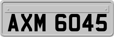 AXM6045
