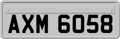 AXM6058