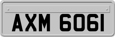 AXM6061