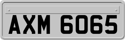 AXM6065