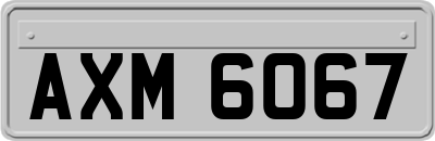 AXM6067