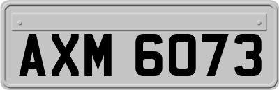 AXM6073