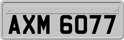 AXM6077