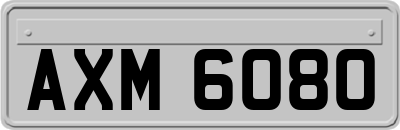 AXM6080