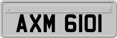 AXM6101