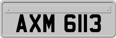 AXM6113