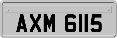 AXM6115