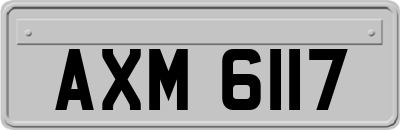 AXM6117