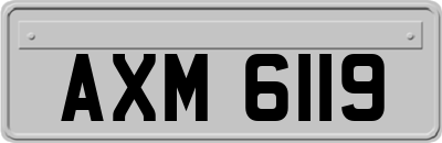 AXM6119