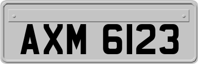 AXM6123