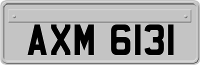 AXM6131