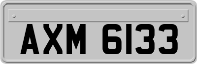 AXM6133