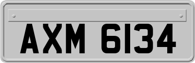 AXM6134