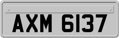 AXM6137