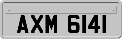 AXM6141