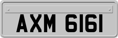 AXM6161