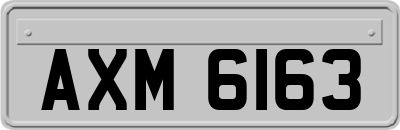 AXM6163