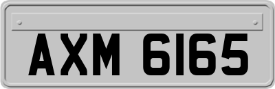 AXM6165