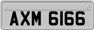AXM6166