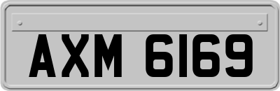 AXM6169