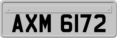 AXM6172