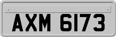 AXM6173