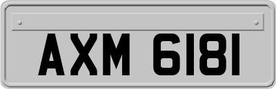 AXM6181