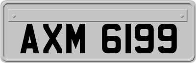 AXM6199