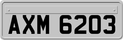 AXM6203
