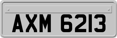 AXM6213