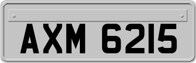 AXM6215