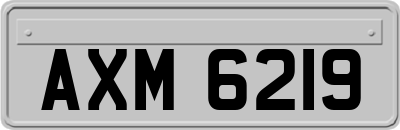 AXM6219