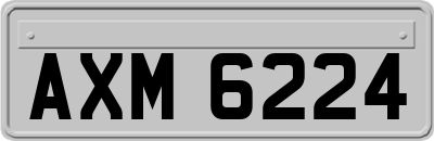 AXM6224