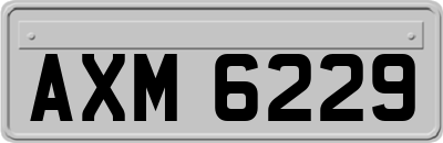 AXM6229