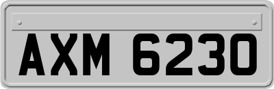 AXM6230