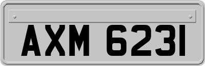 AXM6231
