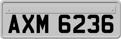 AXM6236